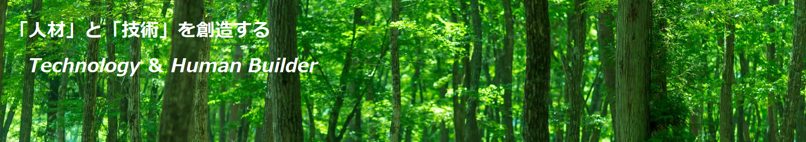 forest